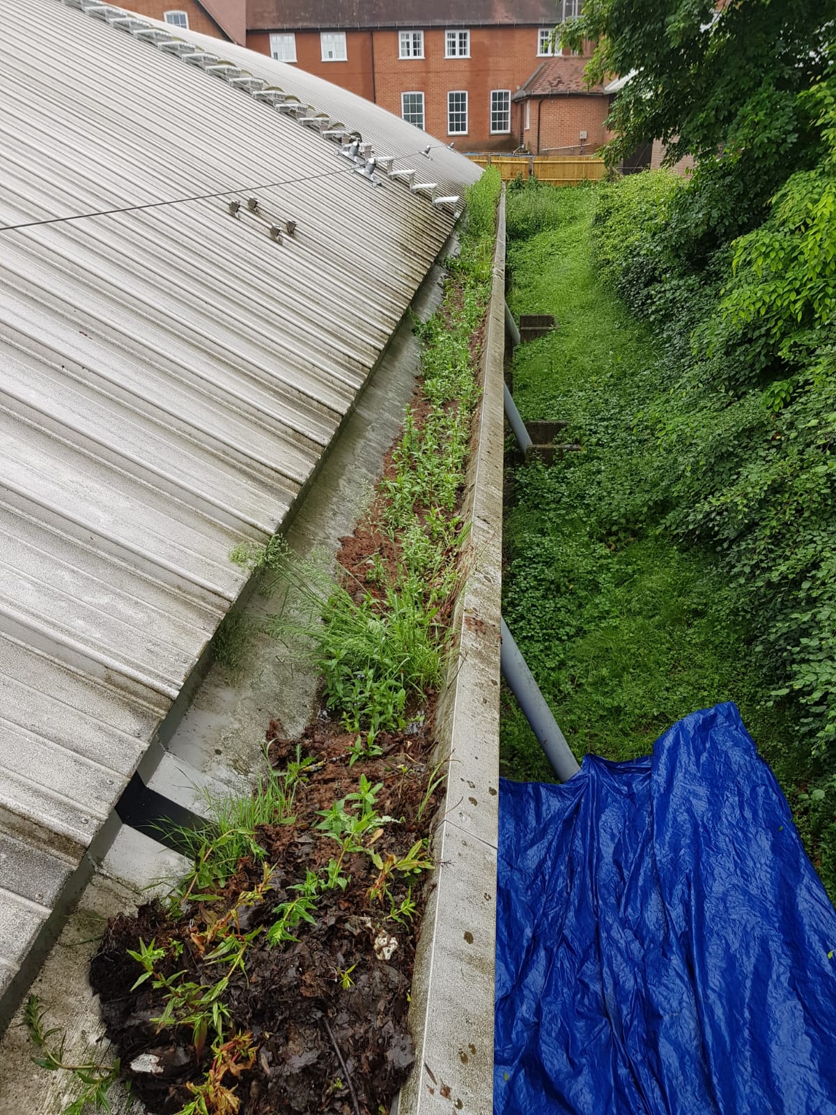 Commercial gutter cleaning experts working on large-scale property